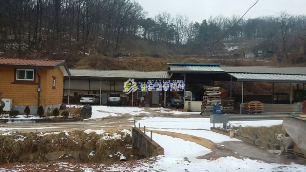 경북 문경시 공평동 문경시 황토벽돌공장&황토주택(부지 721평, 건271평) 매매 매물번호 10079 사진 1