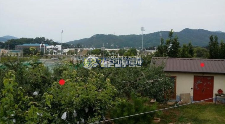 경북 상주시 계산동 상주시 계산동 대형 사과과수원(약6천평)&주택(24평) 매매 매물번호 10032 사진 5