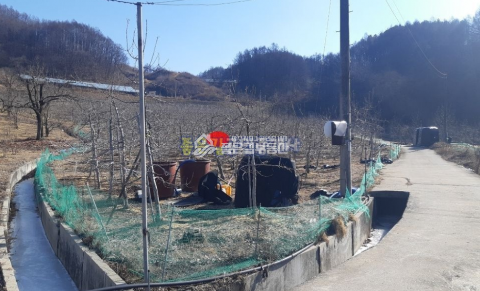경북 상주시 화서면 상곡리 화서면 상곡리 사과과수원(전 852평) 매매 매물번호 10582 사진 5