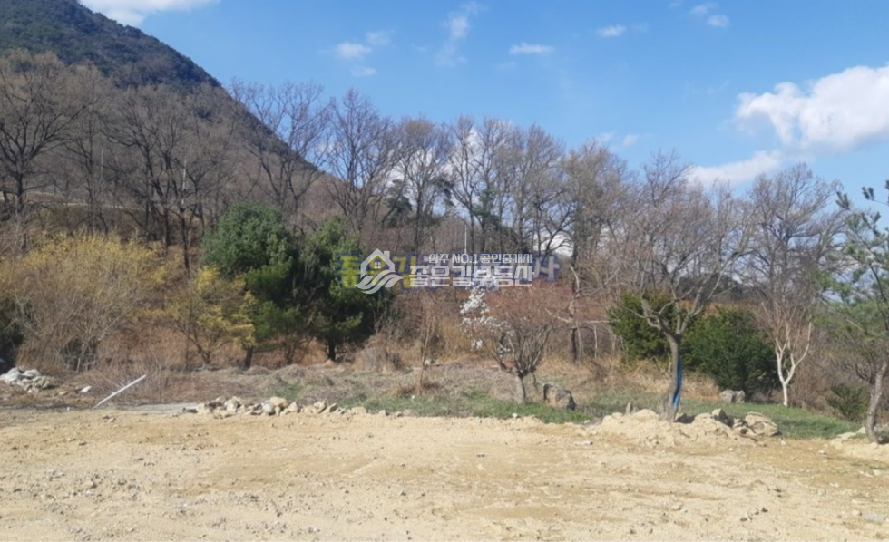 경북 상주시 만산동 만산동 전망좋은 자연녹지지역 개발지(전 756평) 매매 매물번호 10605 사진 4