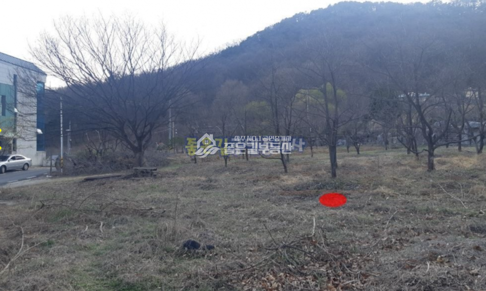 경북 상주시 만산동 만산동 전망좋은 자연녹지지역 개발지(전 756평) 매매 매물번호 10605 사진 5