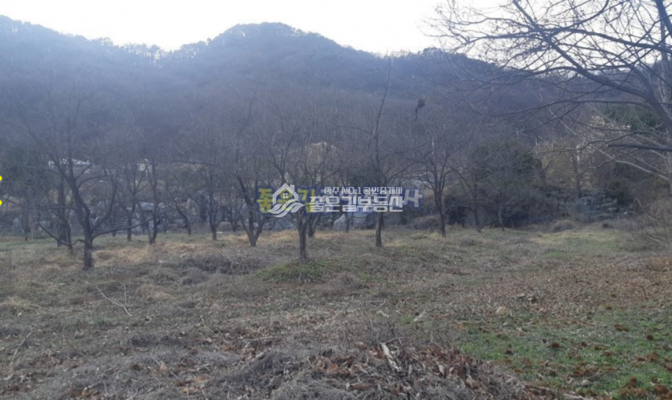 경북 상주시 만산동 만산동 전망좋은 자연녹지지역 개발지(전 756평) 매매 매물번호 10605 사진 6