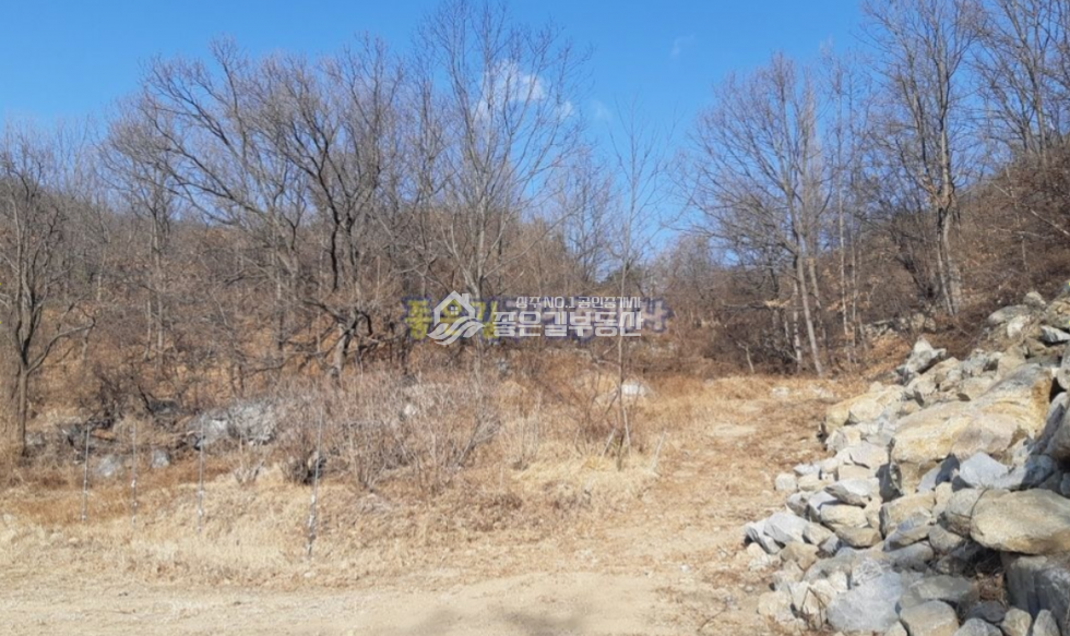 경북 상주시 낙동면 용포리 낙동면 용포리 갑장산자락 생산관리지역 개발지(860평) 매매 매물번호 10612 사진 6