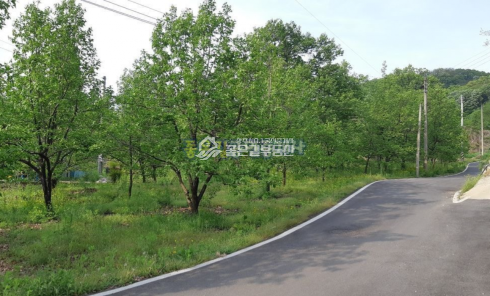 경북 상주시 거동동 거동동 계획관리 개발지 약2,750평 매매 매물번호 10615 사진 1
