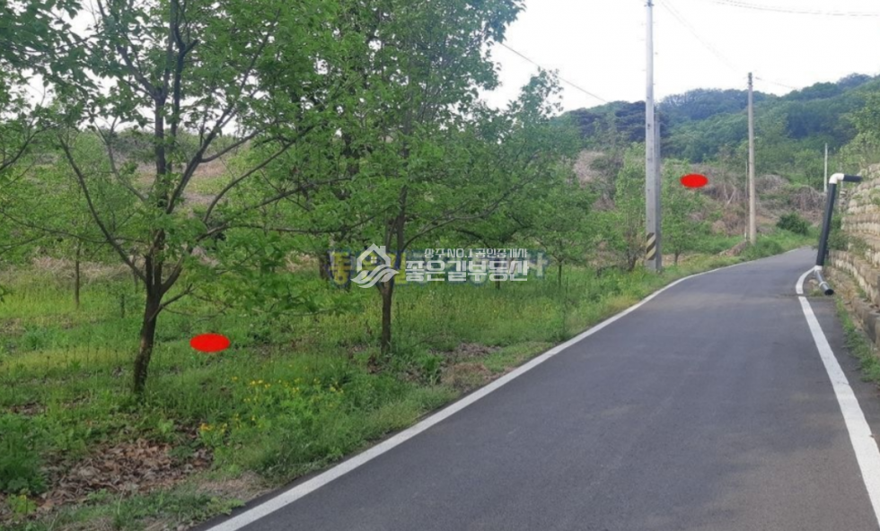 경북 상주시 거동동 거동동 계획관리 개발지 약2,750평 매매 매물번호 10615 사진 3