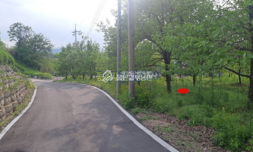 경북 상주시 거동동 거동동 계획관리 개발지 약2,750평 매매 매물번호 10615 사진 4