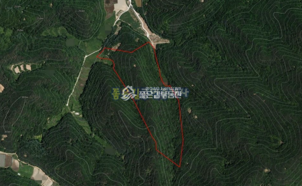 경북 상주시 모서면 대포리 모서면 대포리 임야 24,600평 매매 매물번호 10620 사진 1