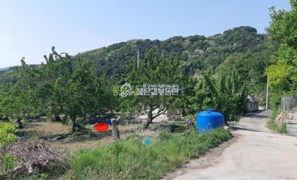 경북 상주시 서곡동 서곡동 뽕나무밭 계획관리지역 635평 매매 매물번호 10625 사진 1
