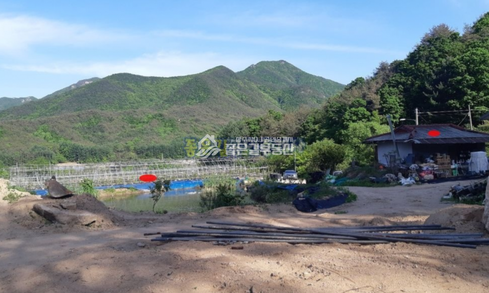경북 상주시 화북면 입석리 화북면 입석리 생산관리 농지 약2,080평 매매 매물번호 10629 사진 1