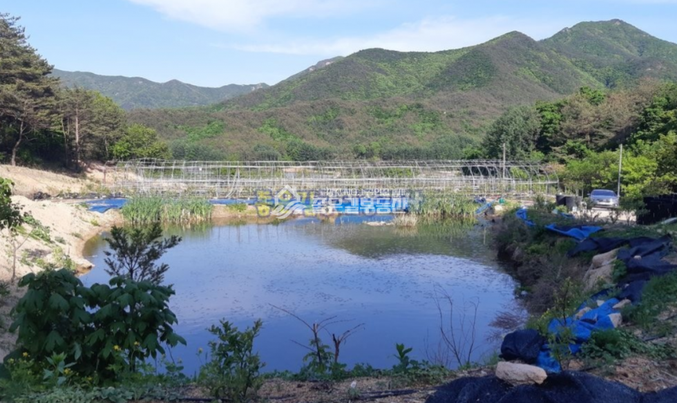 경북 상주시 화북면 입석리 화북면 입석리 생산관리 농지 약2,080평 매매 매물번호 10629 사진 2