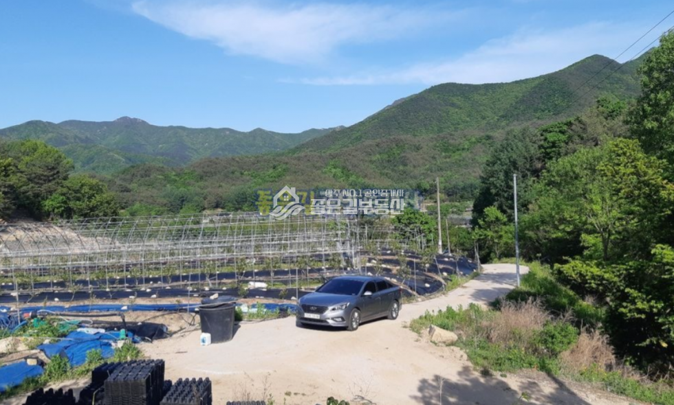 경북 상주시 화북면 입석리 화북면 입석리 생산관리 농지 약2,080평 매매 매물번호 10629 사진 3