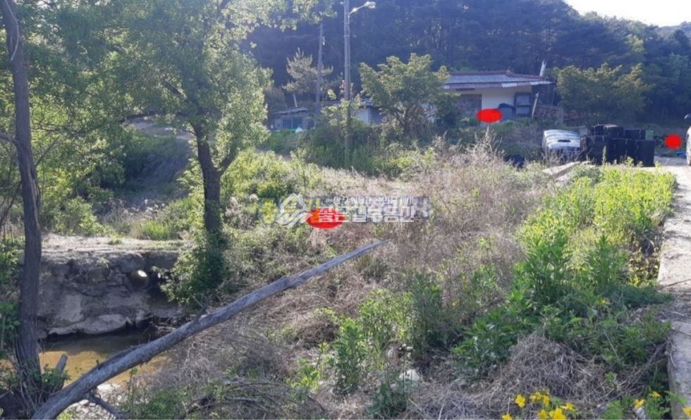 경북 상주시 화북면 입석리 화북면 입석리 생산관리 농지 약2,080평 매매 매물번호 10629 사진 5