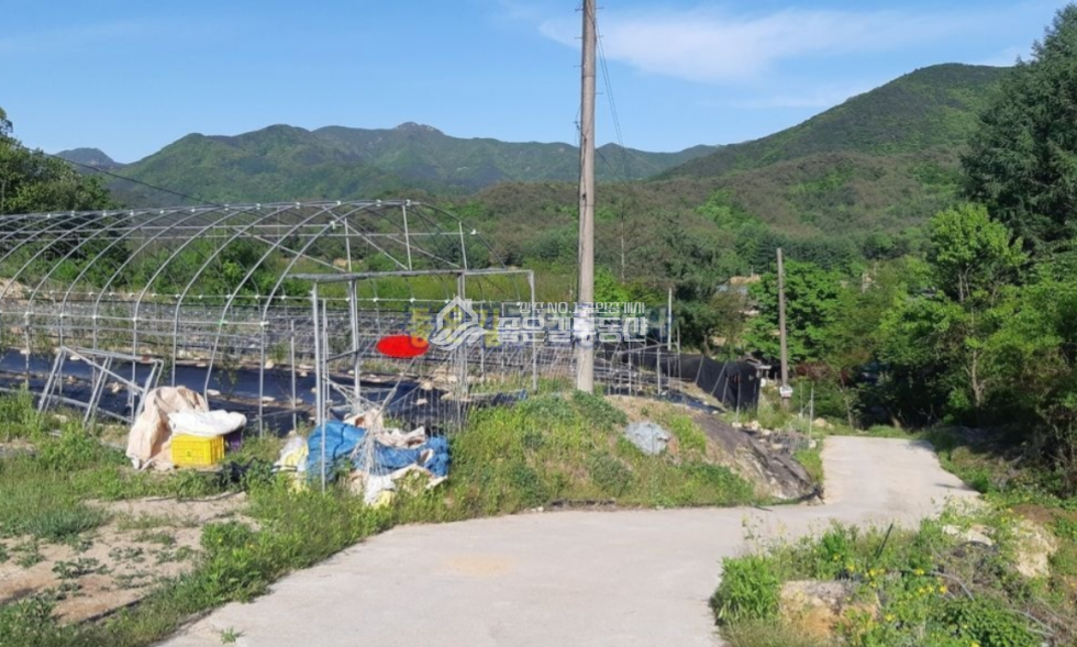 경북 상주시 화북면 입석리 화북면 입석리 생산관리 농지 약2,080평 매매 매물번호 10629 사진 6