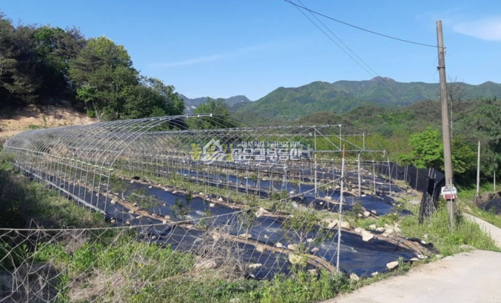 경북 상주시 화북면 입석리 화북면 입석리 생산관리 농지 약2,080평 매매 매물번호 10629 사진 7