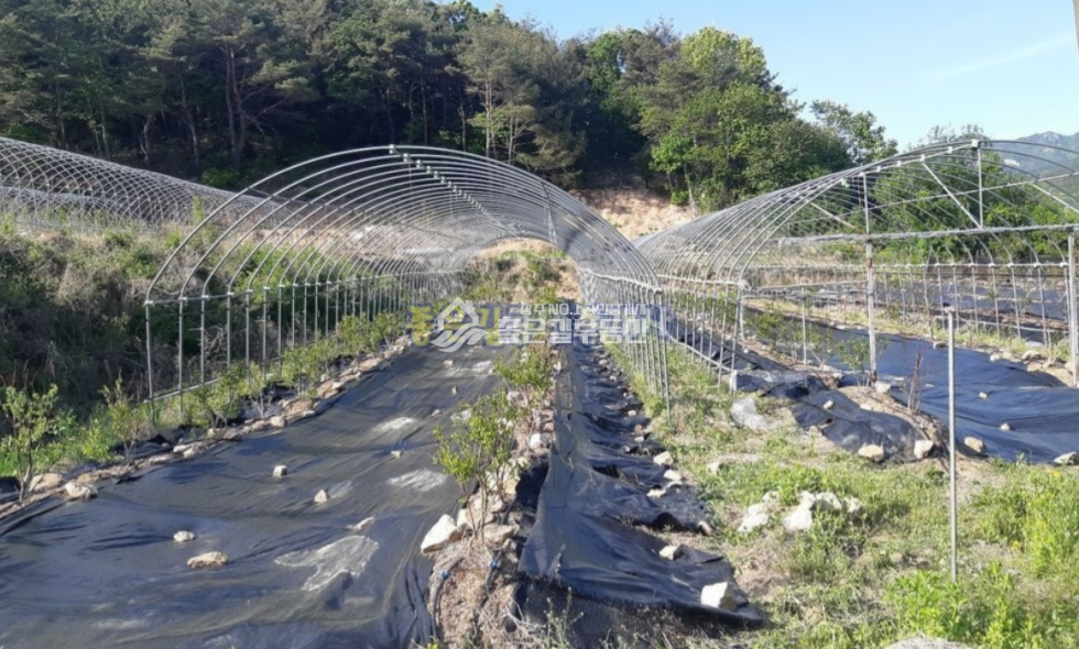 경북 상주시 화북면 입석리 화북면 입석리 생산관리 농지 약2,080평 매매 매물번호 10629 사진 8
