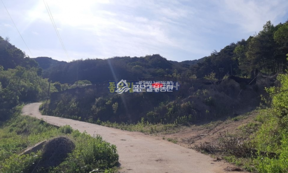 경북 상주시 화북면 입석리 화북면 입석리 생산관리 농지 약2,080평 매매 매물번호 10629 사진 11