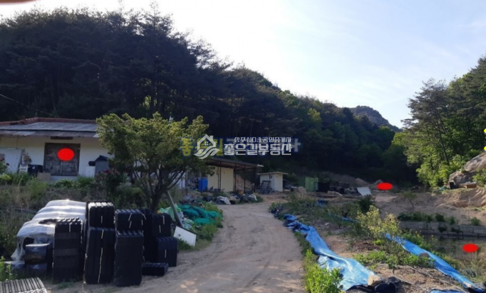 경북 상주시 화북면 입석리 화북면 입석리 생산관리 농지 약2,080평 매매 매물번호 10629 사진 12