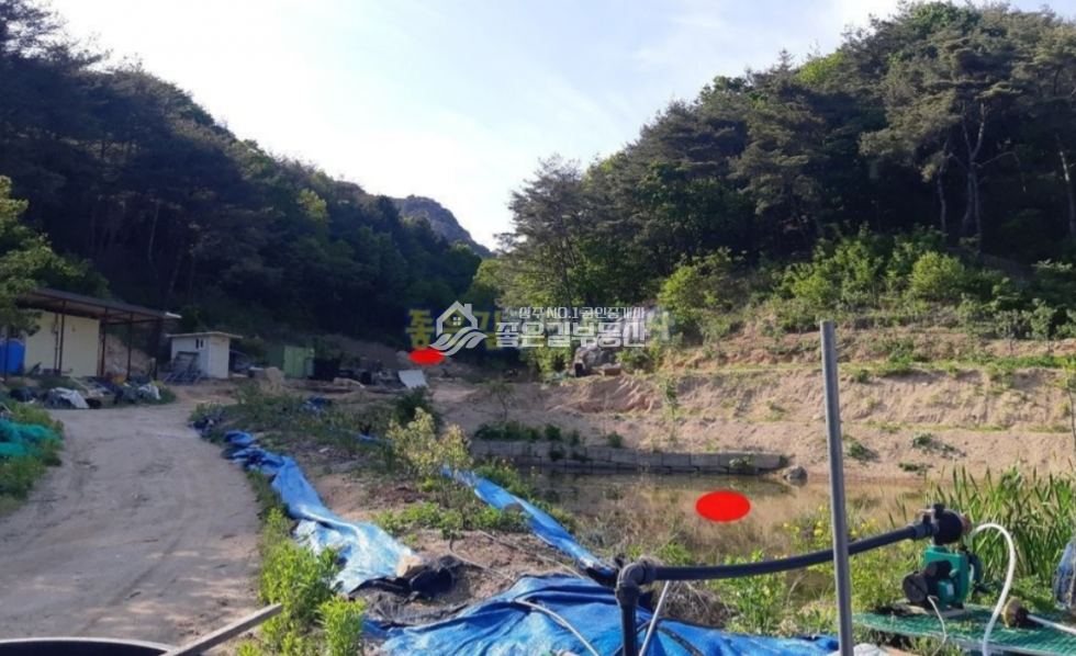 경북 상주시 화북면 입석리 화북면 입석리 생산관리 농지 약2,080평 매매 매물번호 10629 사진 13