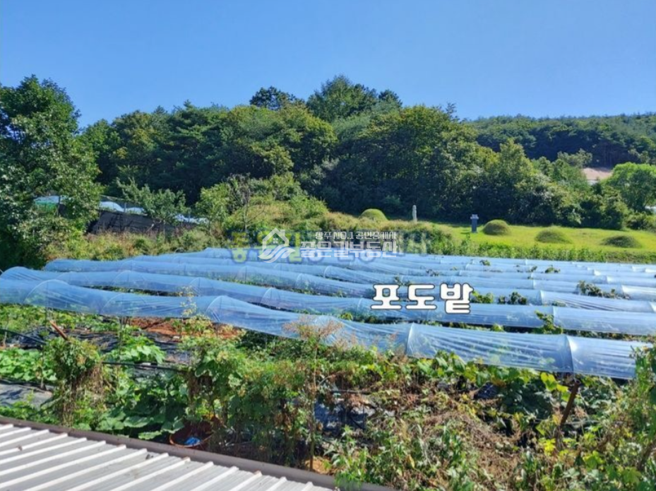 경북 상주시 화동면 보미리 화동면 보미리 도로변 전원주택(부지436평, 연26평) 매매 매물번호 10649 사진 3