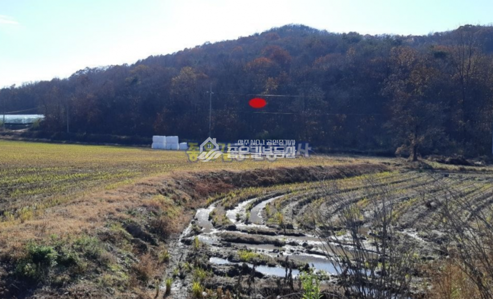 경북 상주시 화동면 선교리 화동먄 선교리 임야 20,040평 매매 매물번호 10651 사진 1