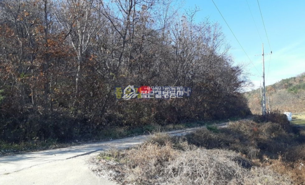 경북 상주시 화동면 선교리 화동먄 선교리 임야 20,040평 매매 매물번호 10651 사진 4