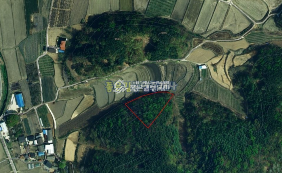 경북 상주시 이안면 구미리 이안면 구미리 임야 1,320평 매매 매물번호 10682 사진 4