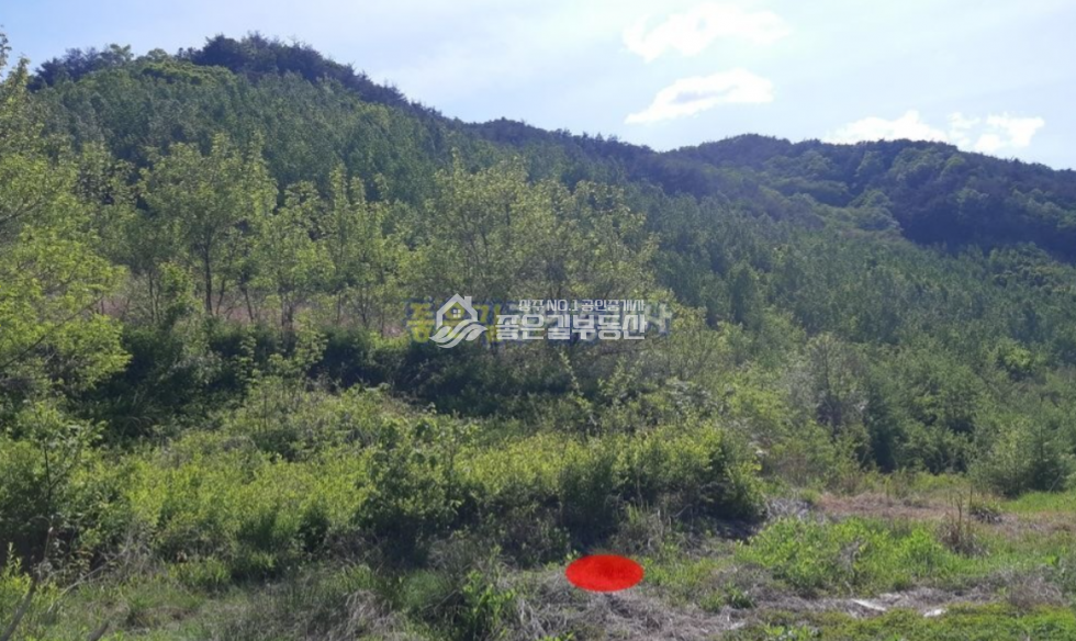 경북 상주시 화북면 상오리 화북면 상오리 청정산골 계획관리 농지(전 2,352평) 매매 매물번호 10686 사진 1