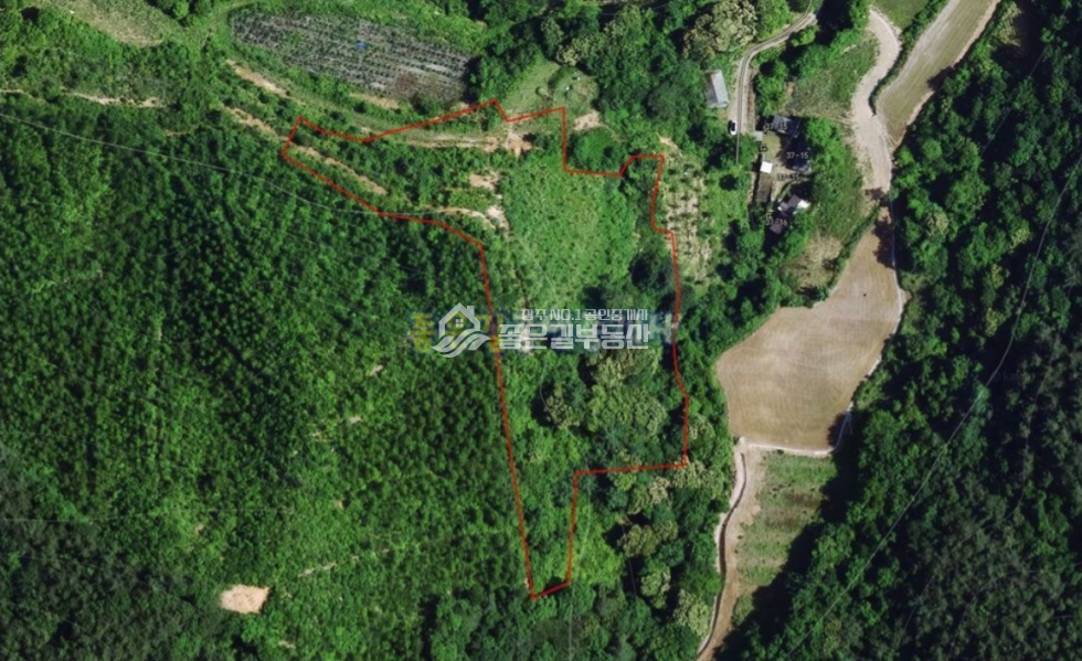 경북 상주시 화북면 상오리 화북면 상오리 청정산골 계획관리 농지(전 2,352평) 매매 매물번호 10686 사진 6