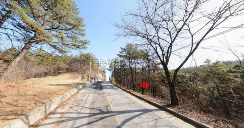 경북 상주시 사벌국면 삼덕리 사벌국면 삼덕리 낙동강인근 임야 2,125평 매매 매물번호 10691 사진 3