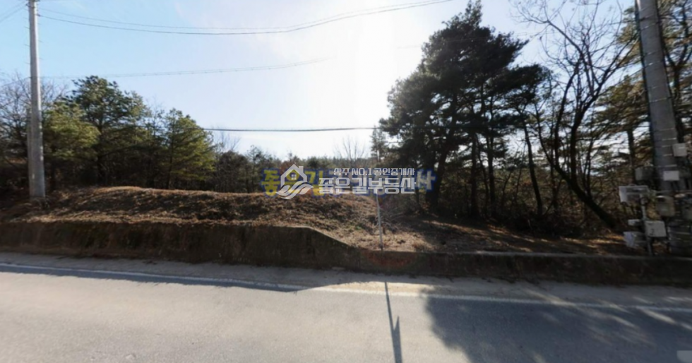 경북 상주시 사벌국면 삼덕리 사벌국면 삼덕리 낙동강인근 임야 2,125평 매매 매물번호 10691 사진 4