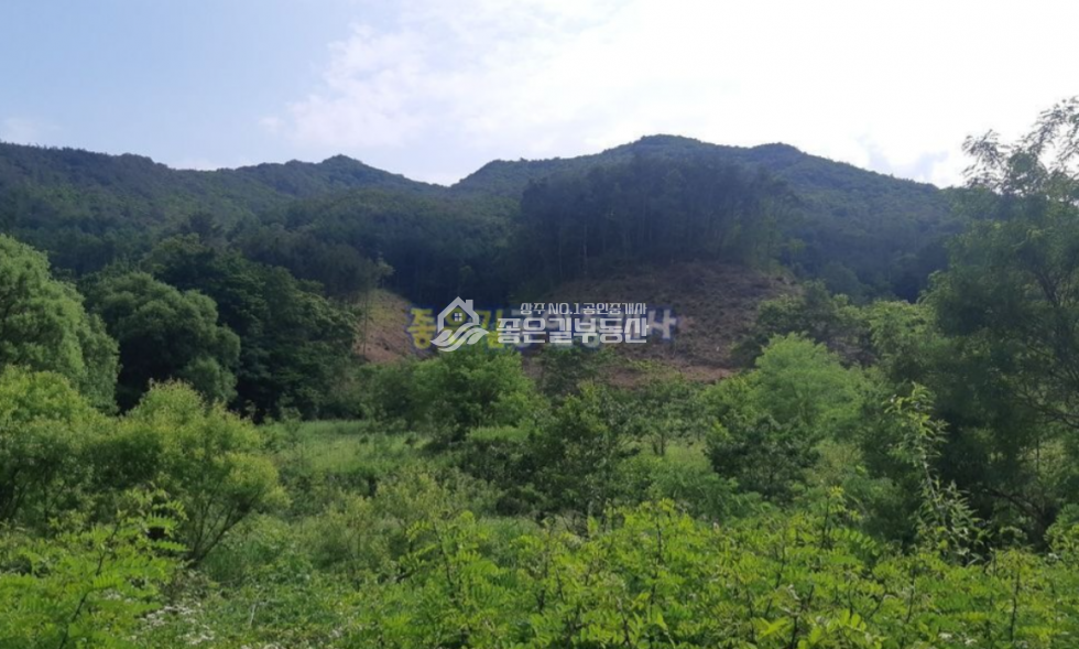 경북 상주시 화남면 동관리 화남면 동관리 계획관리 전,답 2262평 매매 매물번호 10693 사진 1