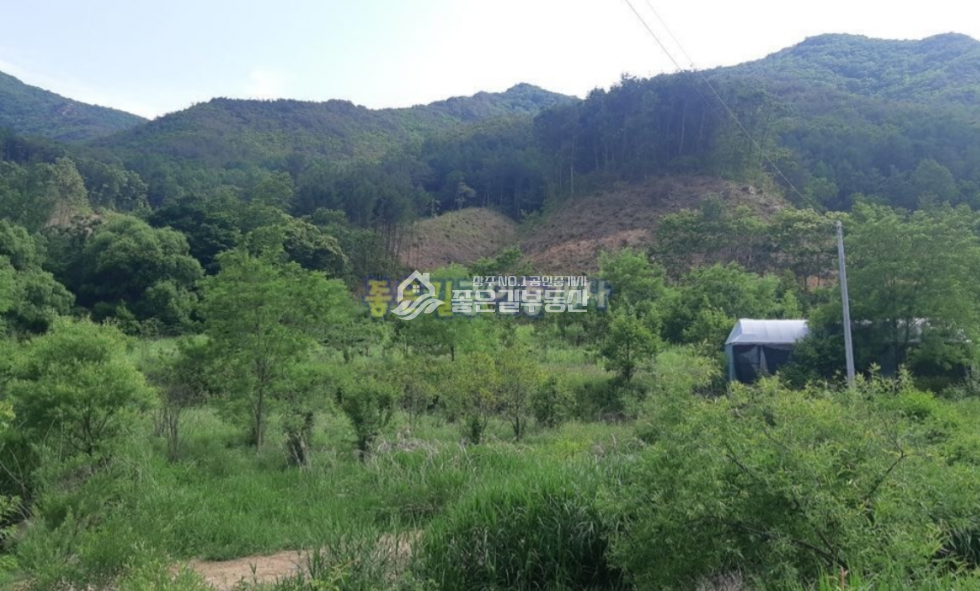 경북 상주시 화남면 동관리 화남면 동관리 계획관리 전,답 2262평 매매 매물번호 10693 사진 2
