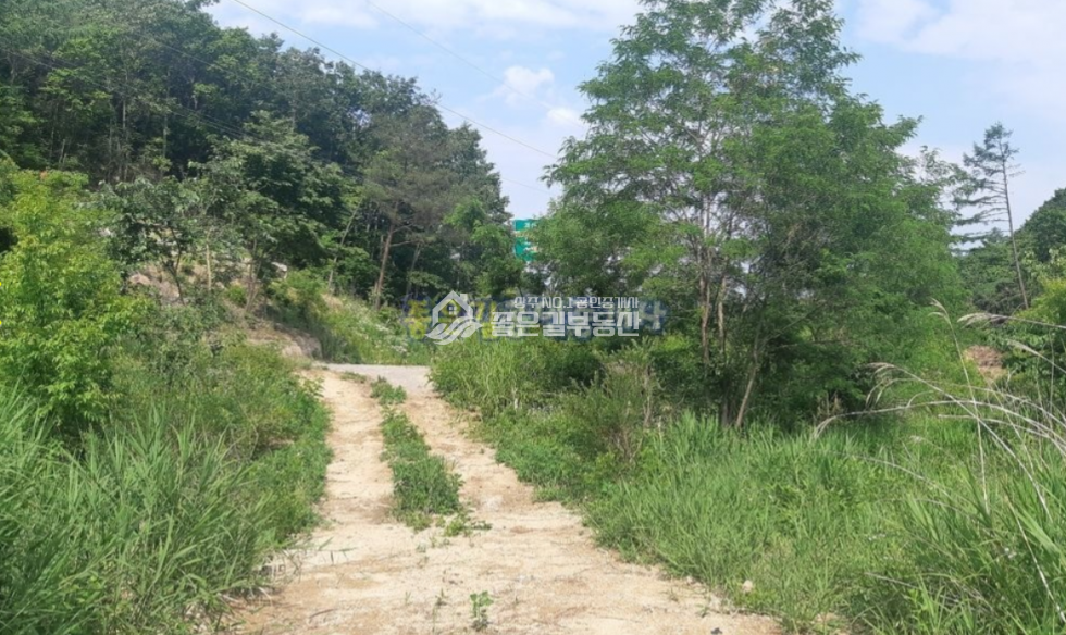 경북 상주시 화남면 동관리 화남면 동관리 계획관리 전,답 2262평 매매 매물번호 10693 사진 4