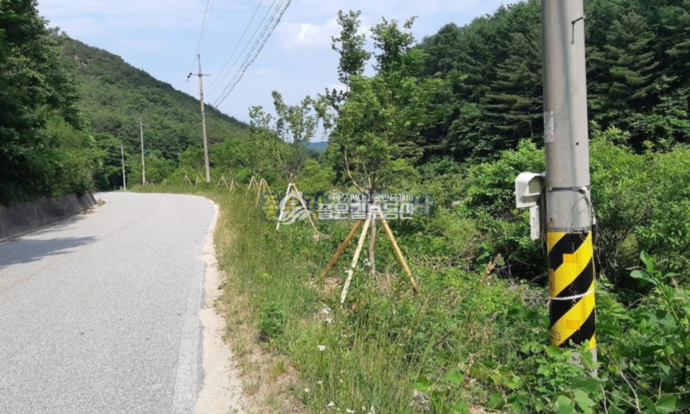 경북 상주시 화남면 동관리 화남면 동관리 보전관리지역 답 1,246평 매매 매물번호 10694 사진 6