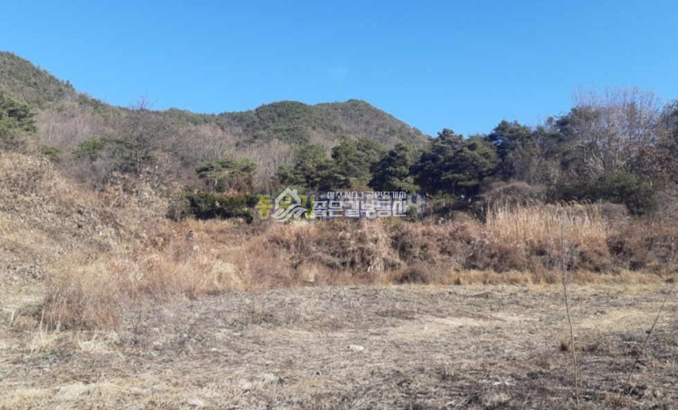 경북 상주시 모서면 정산리 모서면 정산리 저수지 위 개발지(전 508평) 매매 매물번호 10713 사진 3