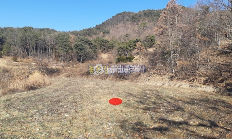 경북 상주시 모서면 정산리 모서면 정산리 저수지 위 개발지(전 508평) 매매 매물번호 10713 사진 7