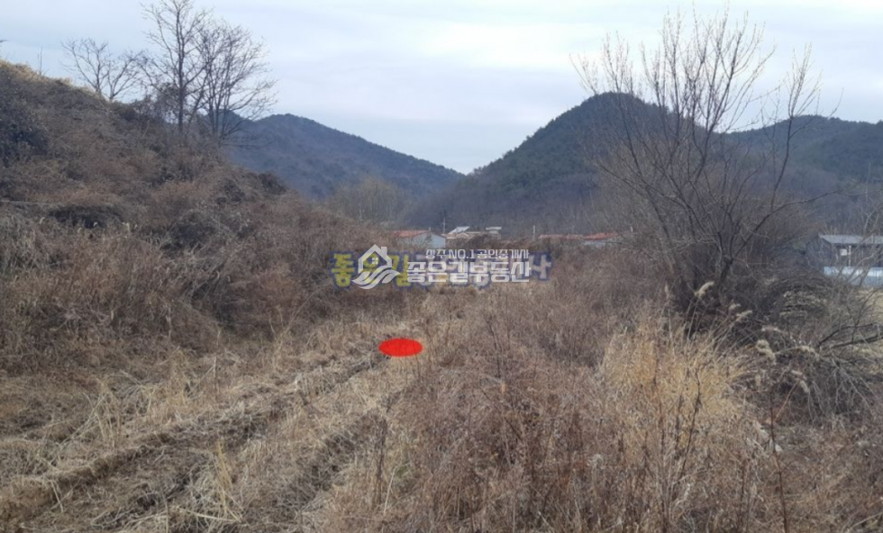 경북 상주시 모서면 화현리 모서면 화현리 보전관리 농지(전 278평) 매매 매물번호 10716 사진 2