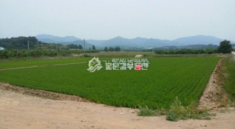 경북 상주시 외남면 신상리 외남면 신상리 농지 (진흥구역,682평) 매매 매물번호 10003 사진 2