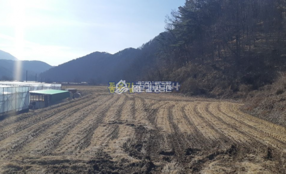 경북 상주시 모서면 호음리 모서면 호음리 저렴한 농지(전 1,639평) 매매 매물번호 10714 사진 1
