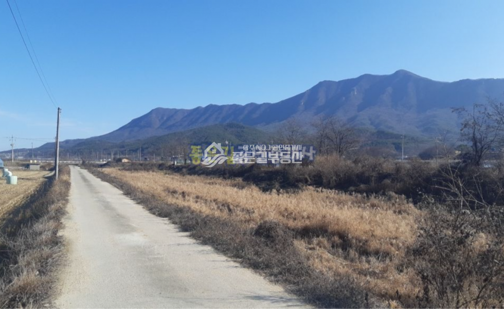 경북 상주시 모서면 호음리 모서면 호음리 저렴한 농지(전 1,639평) 매매 매물번호 10714 사진 2