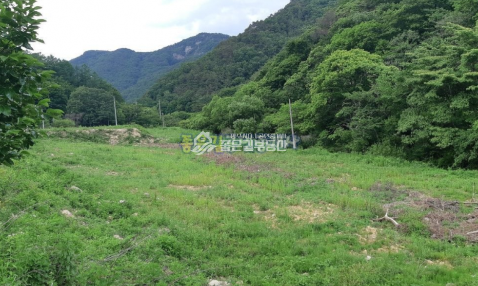 경북 상주시 화남면 동관리 화남면 동관리 2차선변 계획관리 전 1,821평 매매 매물번호 10692 사진 2