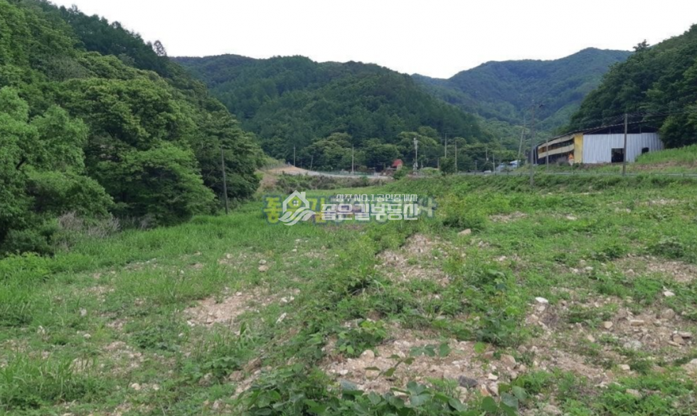 경북 상주시 화남면 동관리 화남면 동관리 2차선변 계획관리 전 1,821평 매매 매물번호 10692 사진 5