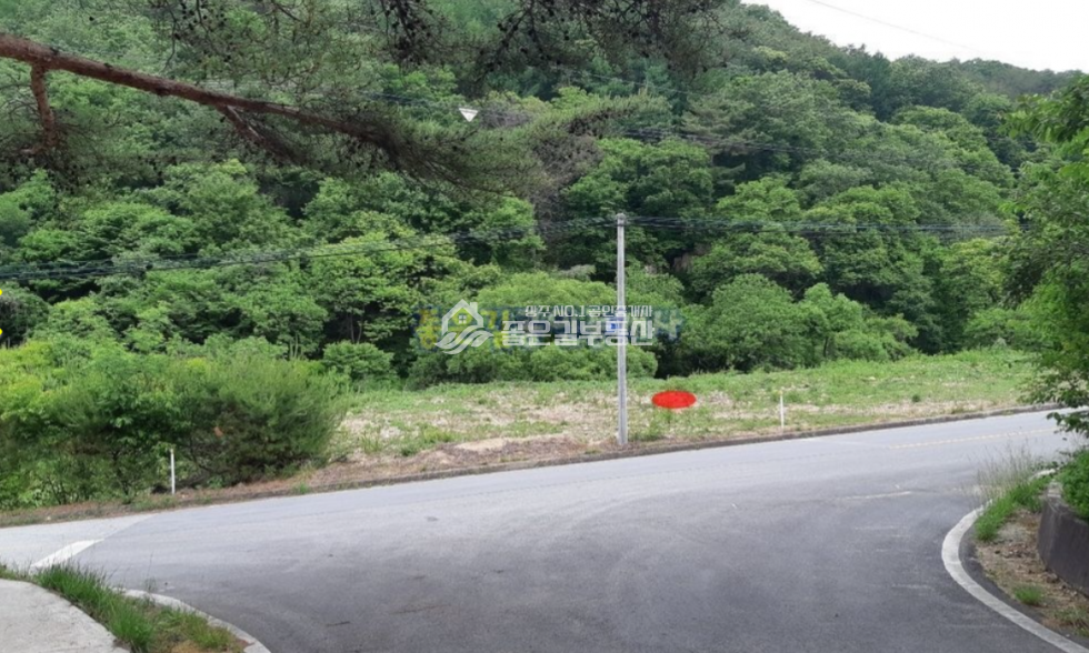 경북 상주시 화남면 동관리 화남면 동관리 2차선변 계획관리 전 1,821평 매매 매물번호 10692 사진 7