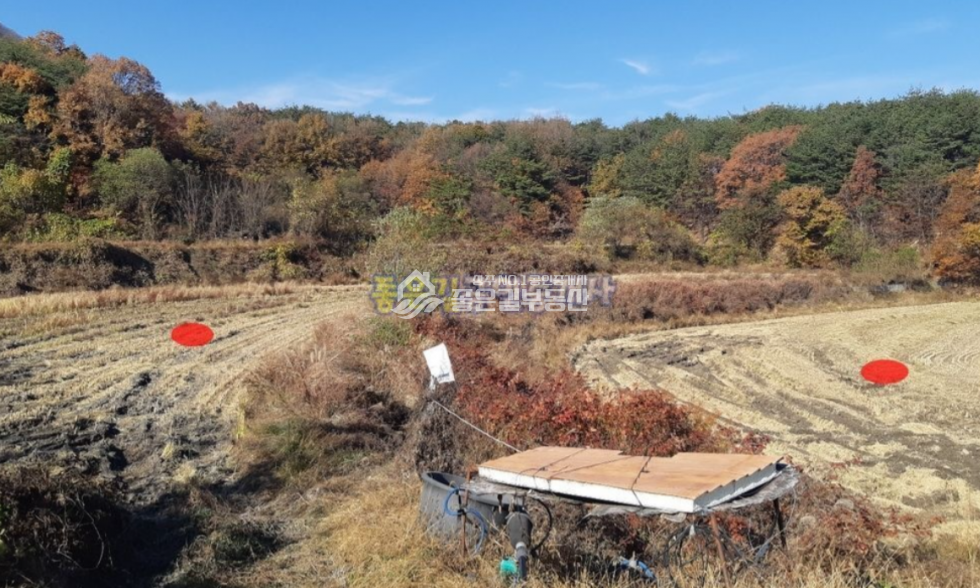 경북 상주시 화동면 선교리 화동면 선교리 농림지역 농지(답 1,943평) 매매 매물번호 10653 사진 1