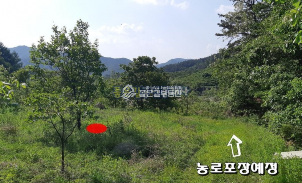 경북 상주시 내서면 낙서리 내서면 낙서리 산밑자락 농업보호구역 답 1,576평 매매 매물번호 10627 사진 1