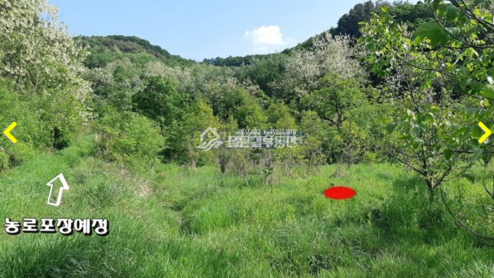 경북 상주시 내서면 낙서리 내서면 낙서리 산밑자락 농업보호구역 답 1,576평 매매 매물번호 10627 사진 2