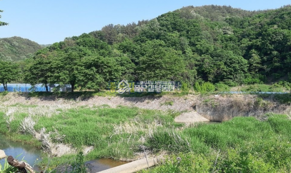 경북 상주시 내서면 노류리 내서면 노류리 하천 인근 임야 14,746평 매매 매물번호 10592 사진 2