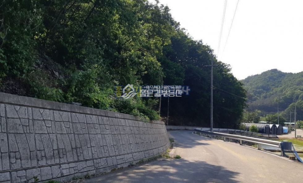 경북 상주시 내서면 노류리 내서면 노류리 하천 인근 임야 14,746평 매매 매물번호 10592 사진 4