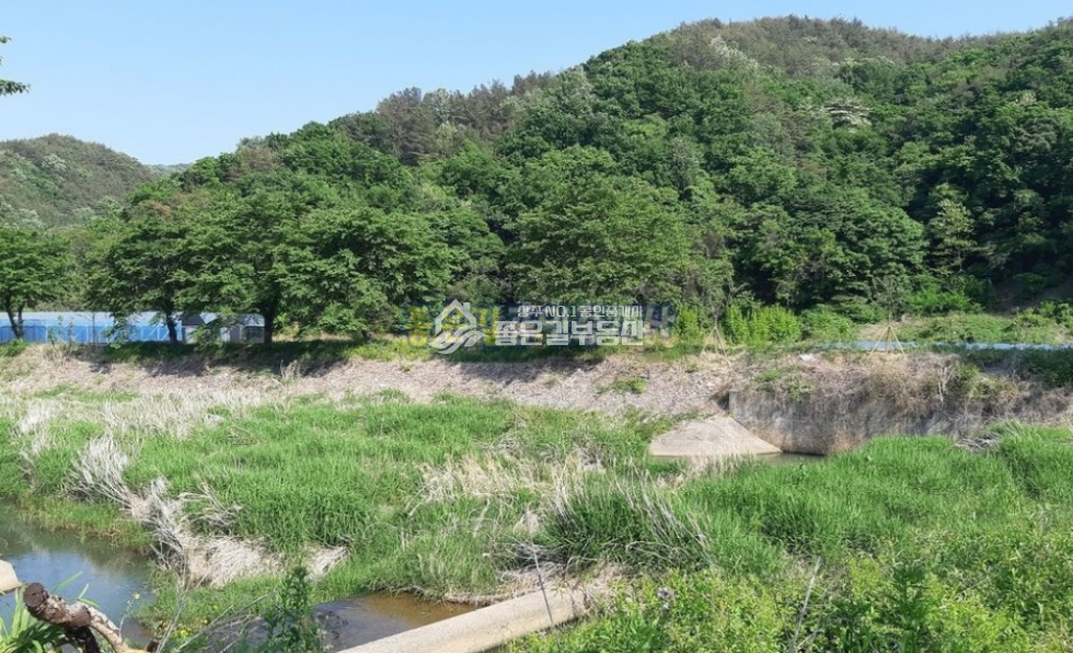 경북 상주시 내서면 노류리 내서면 노류리 하천 인근 임야 14,746평 매매 매물번호 10592 사진 7