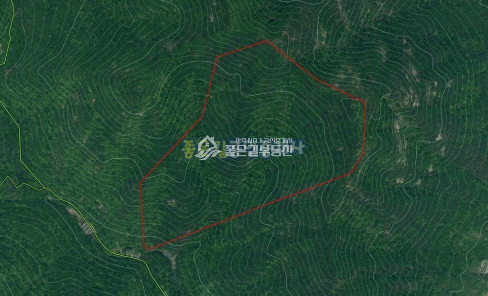 경북 상주시 모동면 수봉리 모동면 수봉리 맑은 계곡낀 임야 57,840평 매매 매물번호 10492 사진 6